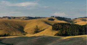 Community Views and Energy Transition in Gippsland