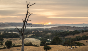 DRC image  North East Goulburn Valley