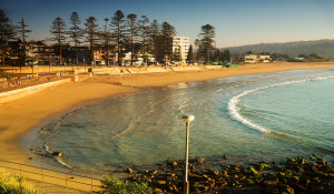 DRC image  Northern Beaches  Forecast reviews